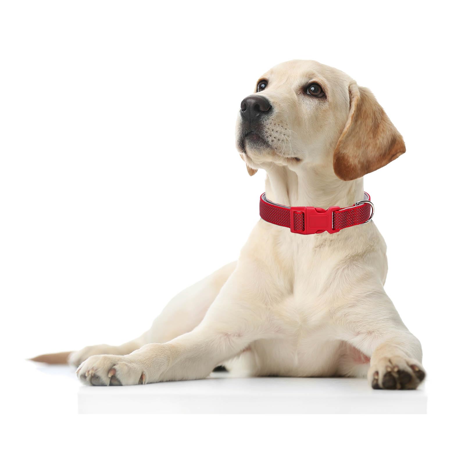 Reflective Dog Collar Padded-4 Size, Breathable Nylon Soft Neoprene Pet Collar For Small Medium And Large Dogs (Red, S)