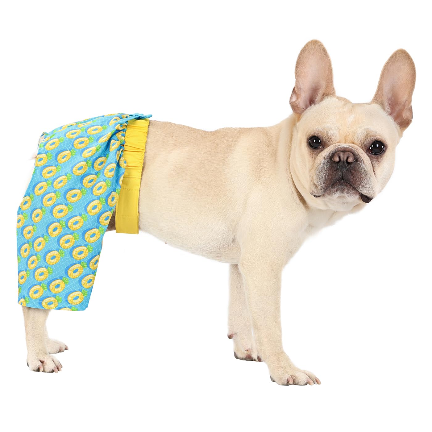 Hde Dog Swim Trunks Hawaiian Board Shorts Beach Pool Swimsuit For Xs To Xxl Dogs Pineapple Floats - M