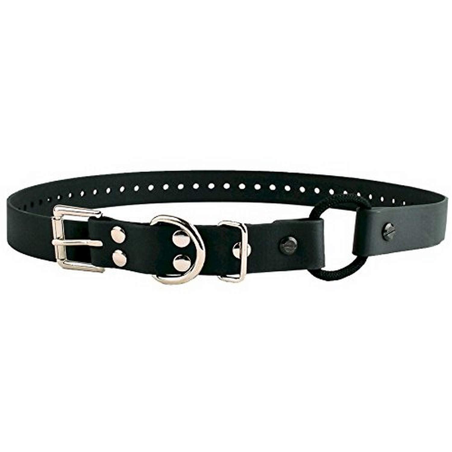 Educator Bungee Dog Collar, Biothane, Waterproof, Odorproof, Metal Buckle And D Ring With Comfort Bungee Loop Adjustable For Custom Fit, 1-Inch, Black