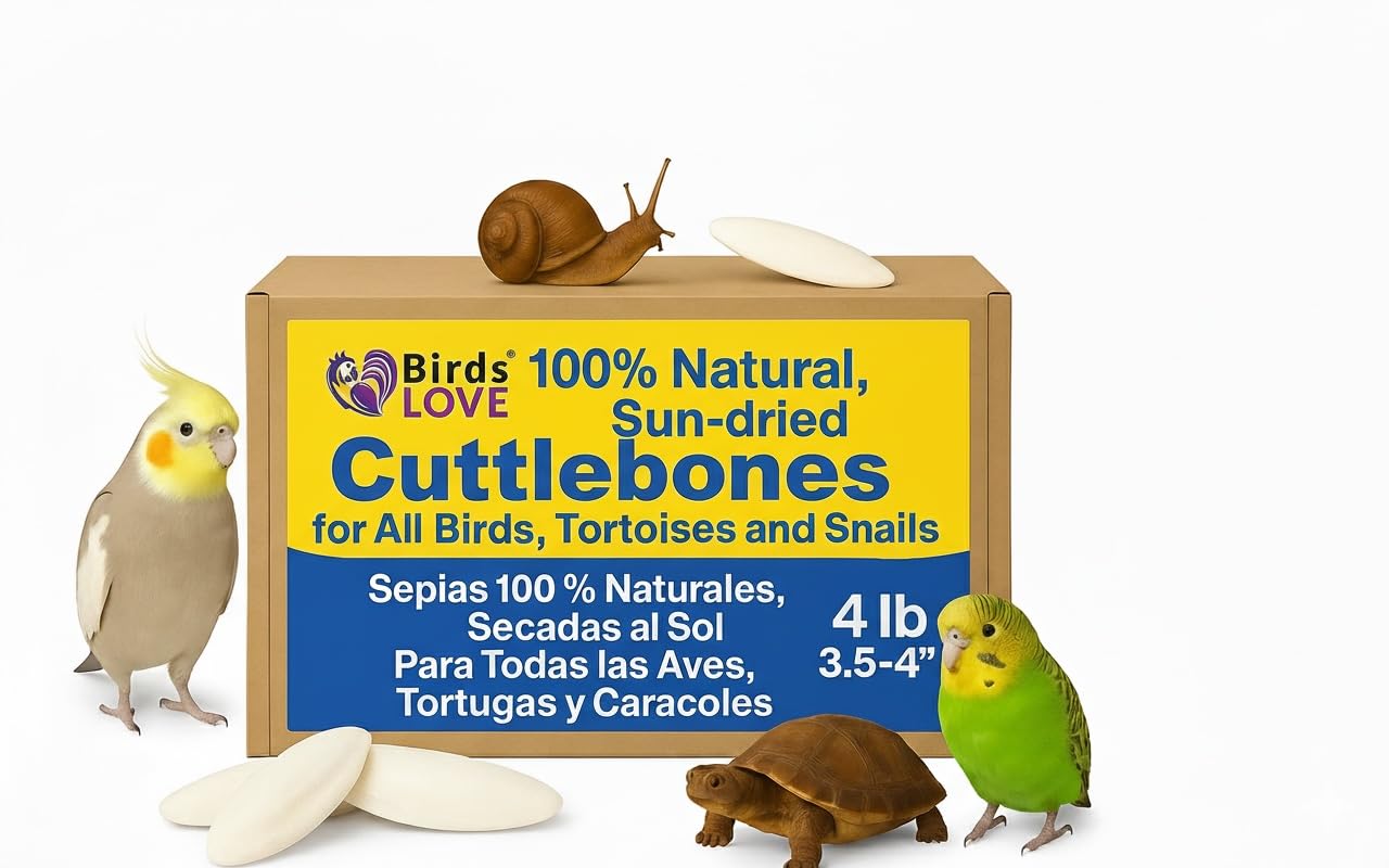 Birds LOVE Natural Cuttlebone - Premium Calcium for Cockatiel, Parrots, Tortoise, Snails, Crabs and Chinchillas - Pure Cuttlebon