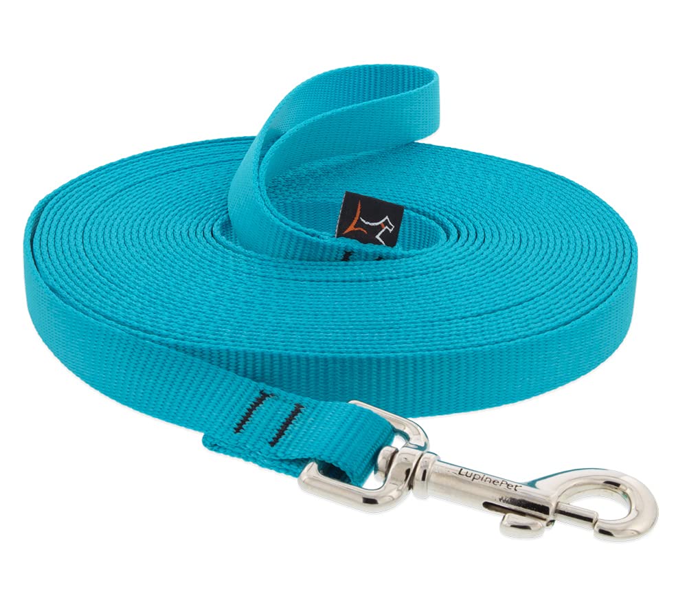 LupinePet Basics 3/4'' Aqua 30-Foot Extra-Long Training Leash for Dogs