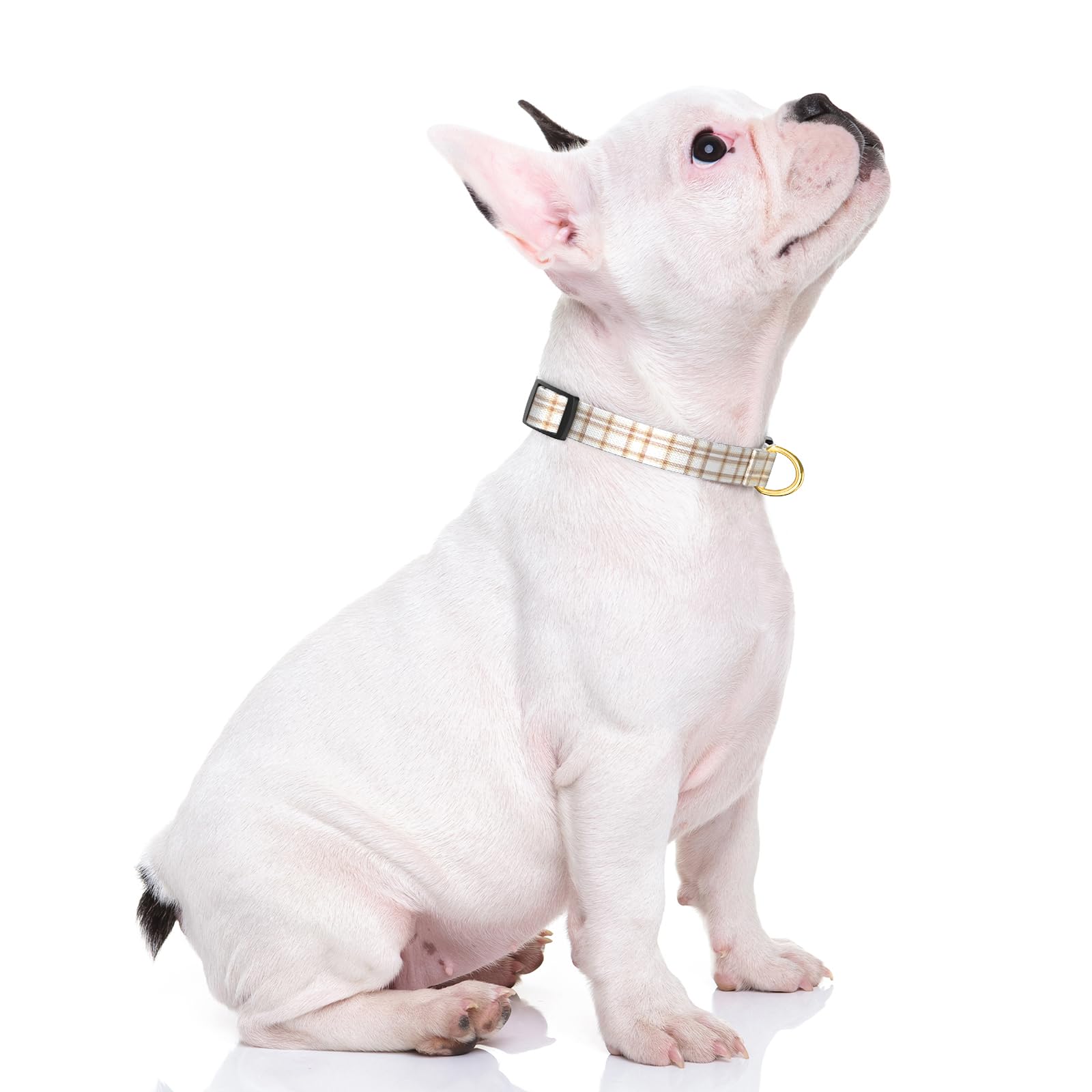 Rnivvi Dog Collar For Small Dogs, Cute Heavy Duty Adjustable Puppy Collar With Quick Release Buckle For Girl & Female, Pet Acces