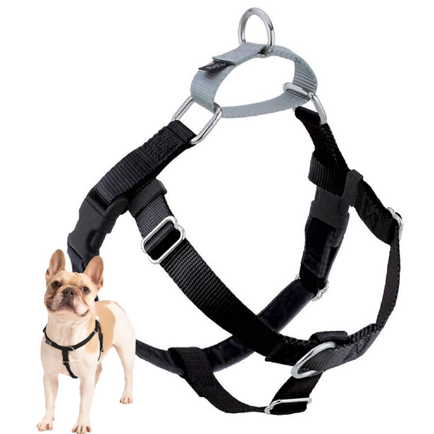 2 Hounds Design Freedom No Pull Dog Harness  Comfortable Control for Easy Walking  Adjustable Dog Harness  Small, Medium & Large