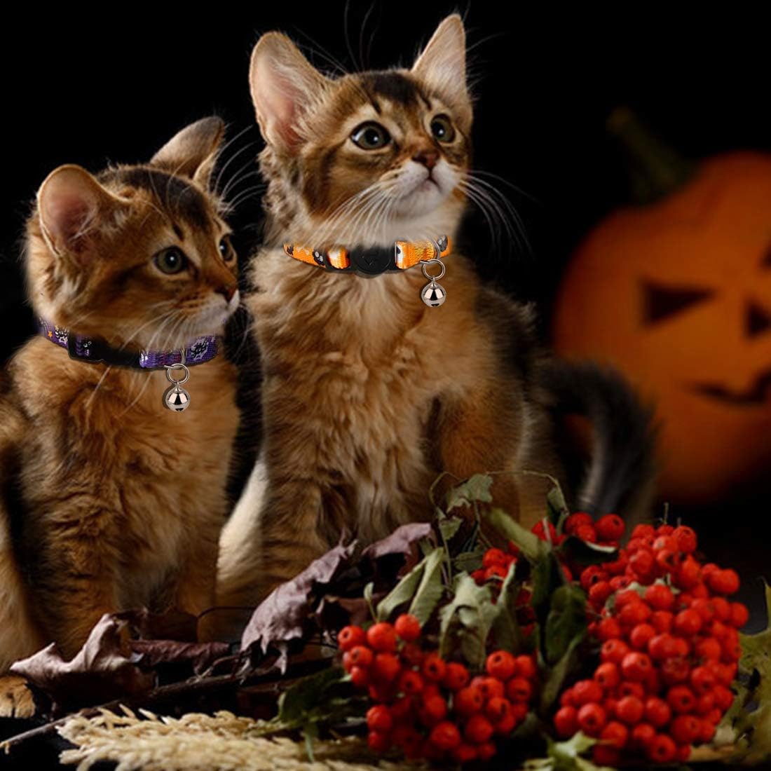 Azuza 4 Pack Halloween Kitten Collars Breakaway With Bells, Adjustable Cat Collars With Safety Buckle,Adjustable From 6'-8', Skull And Crossbones,Ghosts, Spider And Pumpkin Prints