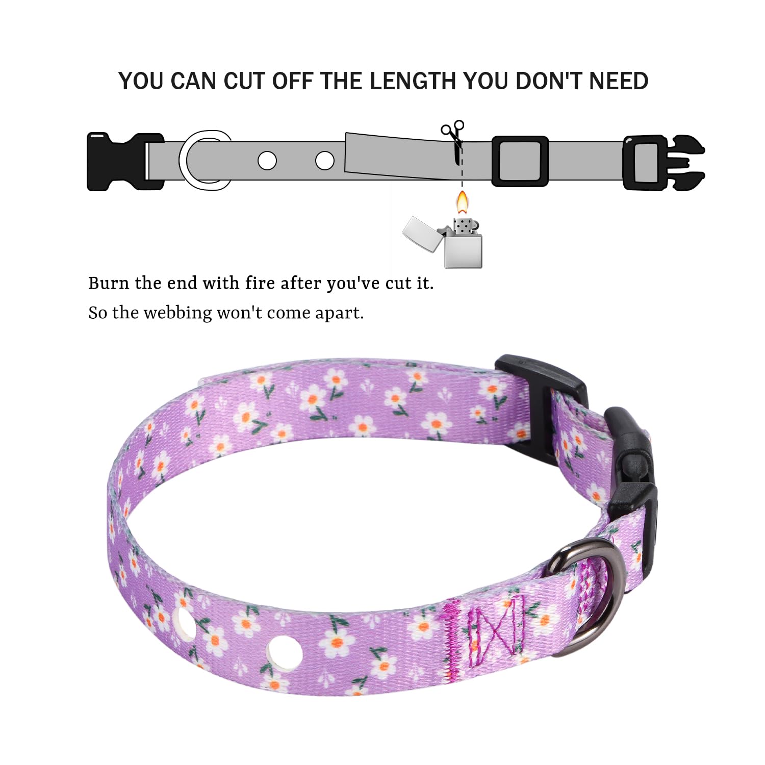 Rhea Rose 3/4 Inch Replacement Collar Strap Shock Collar with 2 Holes, Compatible with Nearly All Brands and Models of Undergrou