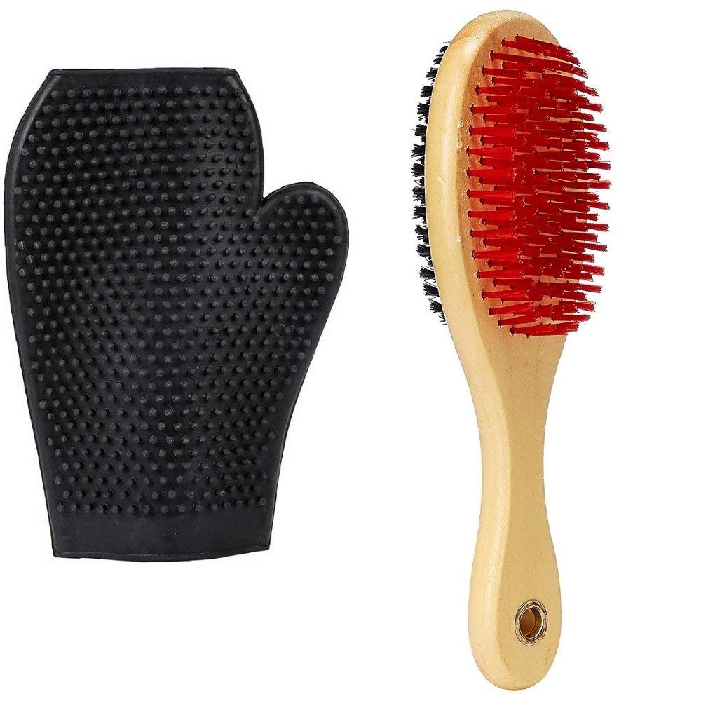 Rvpaws Double Sided Wooden Bristles Dog Brush With Free Grooming Bathing Gloves (Large)