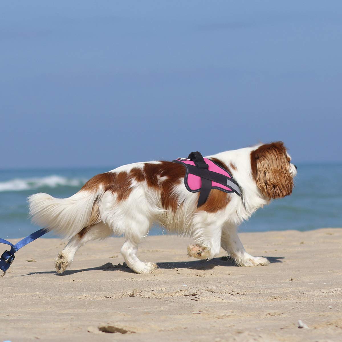Bolux Dog Harness - No-Pull Reflective Vest, Breathable, Adjustable, Large (L), Rose Red, Model DC112-Rose-L