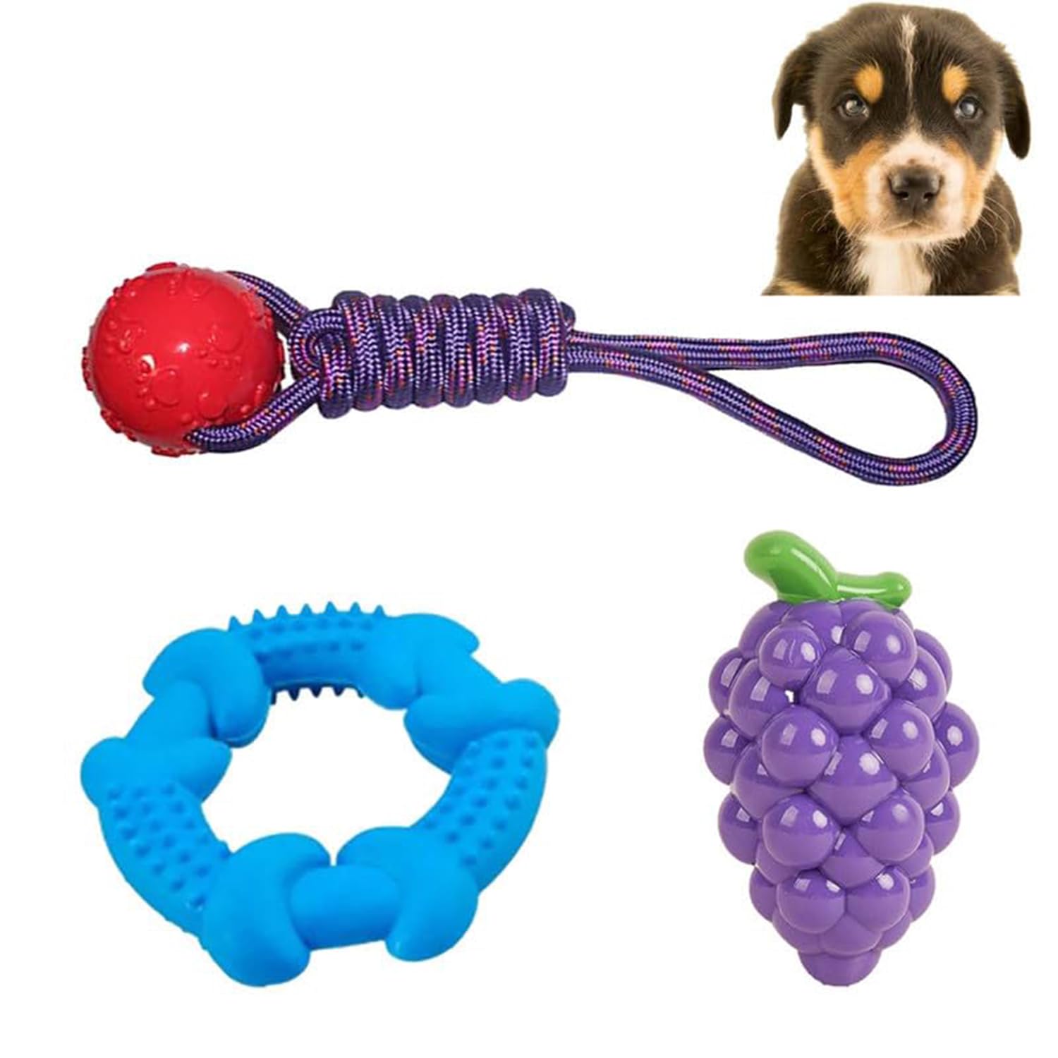 Pawise Dog Combo Chew Toy L Rubber Paw Print Ball With Nylon Knot Rope Toy For Dogs L Puppy Squeaky Toy L Dog Ball Toy L Dog Cot