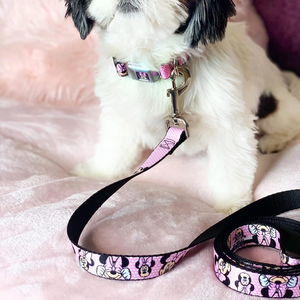 Buckle-Down Pet Leash - Minnie Mouse Expressions Polka Dot Pink/White - 4 Feet Long - 1.5'' Wide