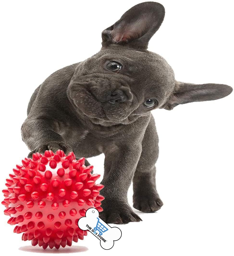 Cozy Puppies Dog Puppy Spike Hard Chew Ball