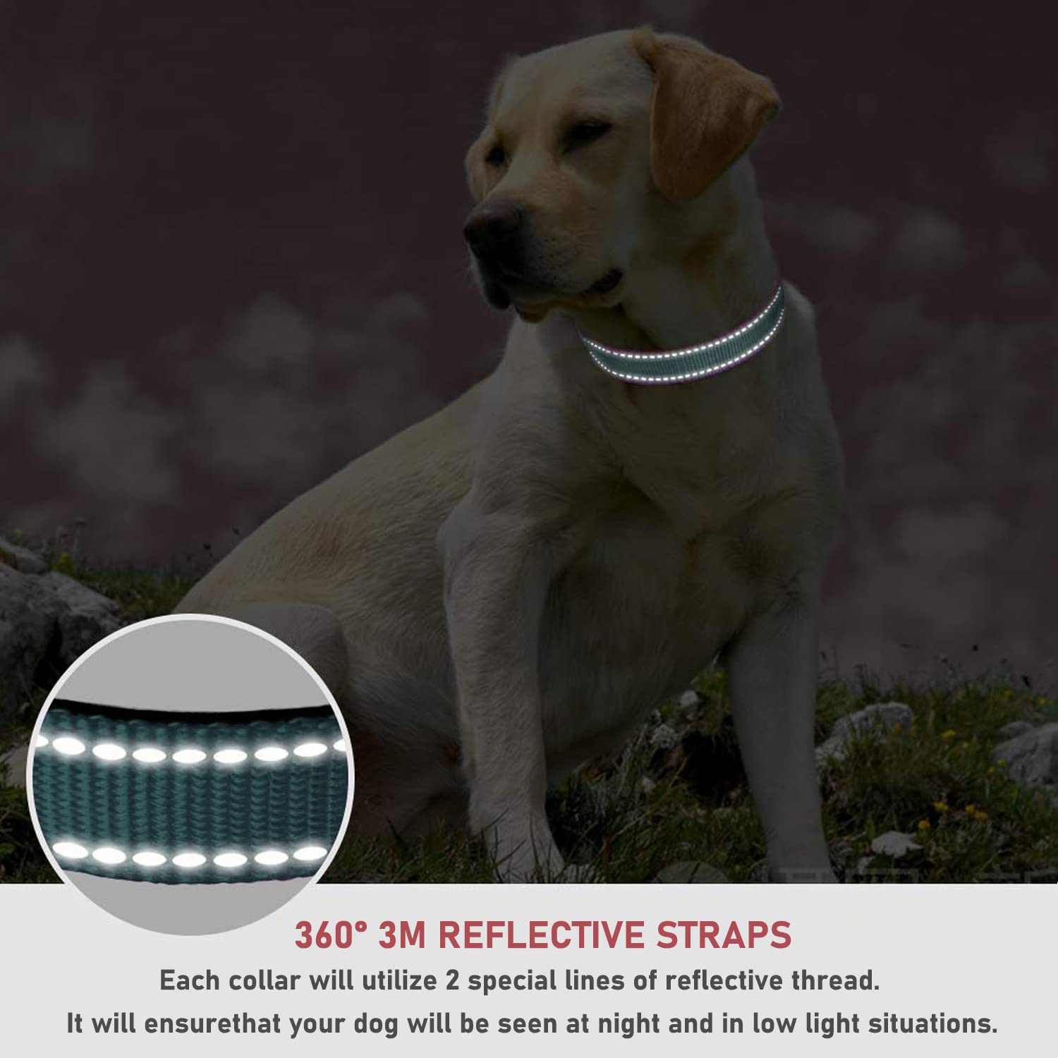 Reflective Dog Collar With Buckle Adjustable Safety Nylon Collars For Small Medium Large Dogs, Grey Xs