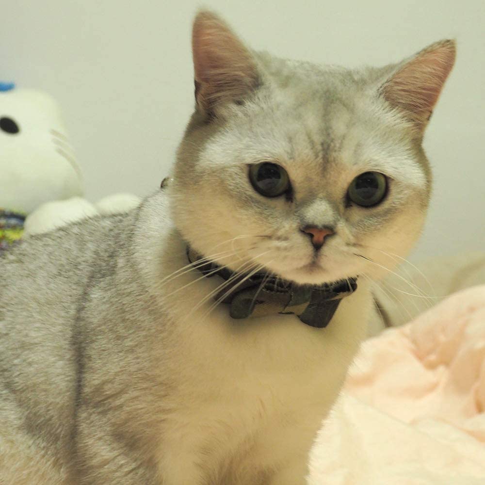 Cat Collar Bowtie With Bell, Quick Release Buckle Safety And Durable Kitties Kittens Cats Breakaway Collar(6.8-10.8In) (Camouflage 2)