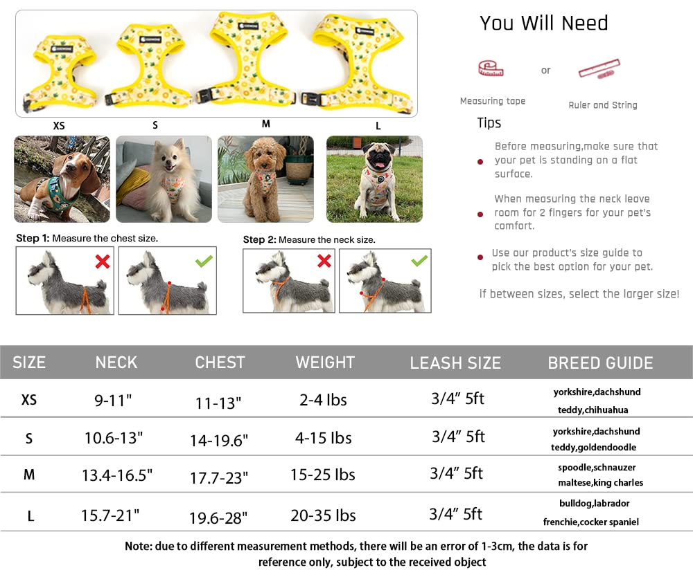 No Pull Dog Harness And Leash Set, Adjustable And Soft Padded Dog Vest Harness For Small Medium Large Dogs