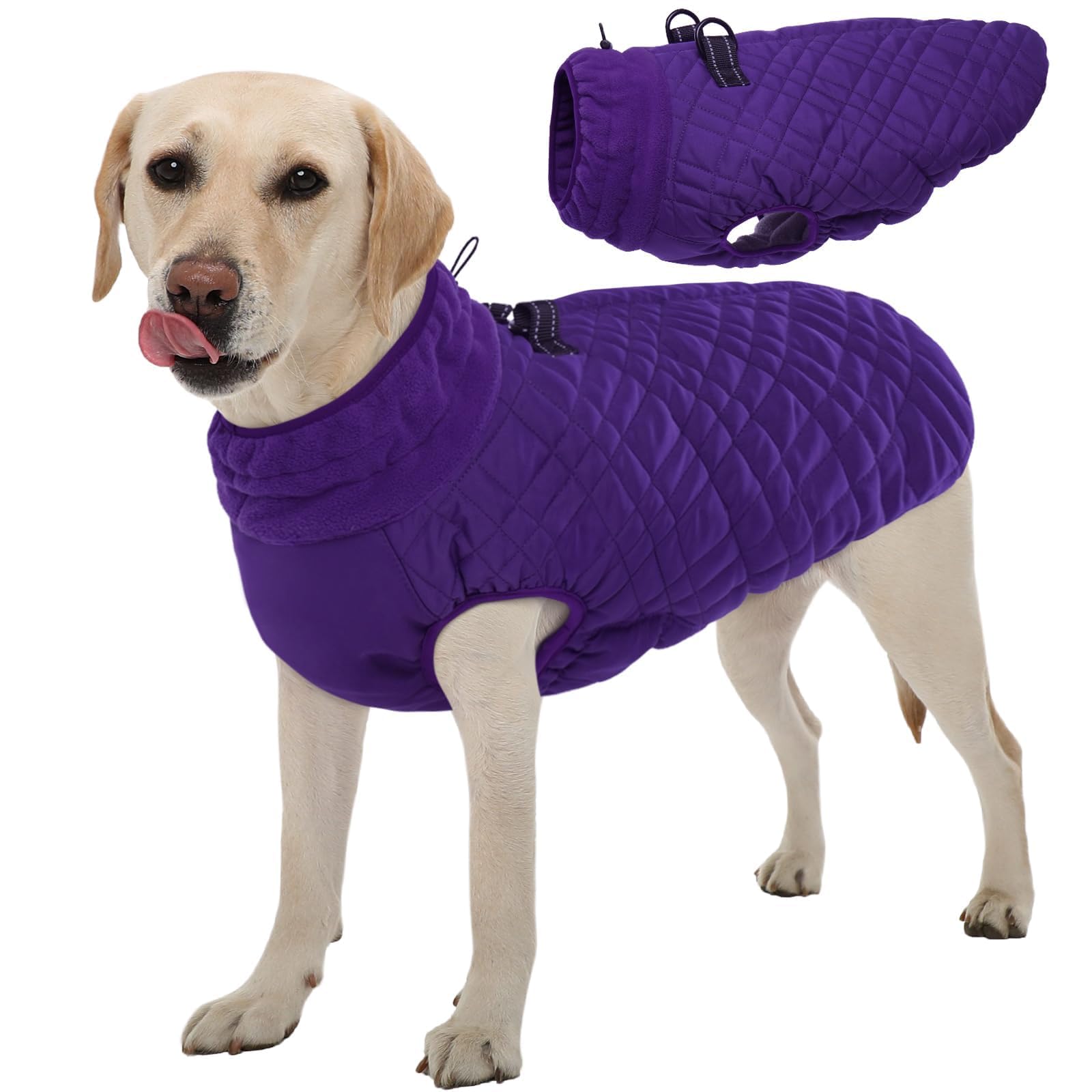 Kuoser Winter Dog Jacket - Purple, Medium, Snow & Cold Weather Coat For French Bulldog, Boston Terrier