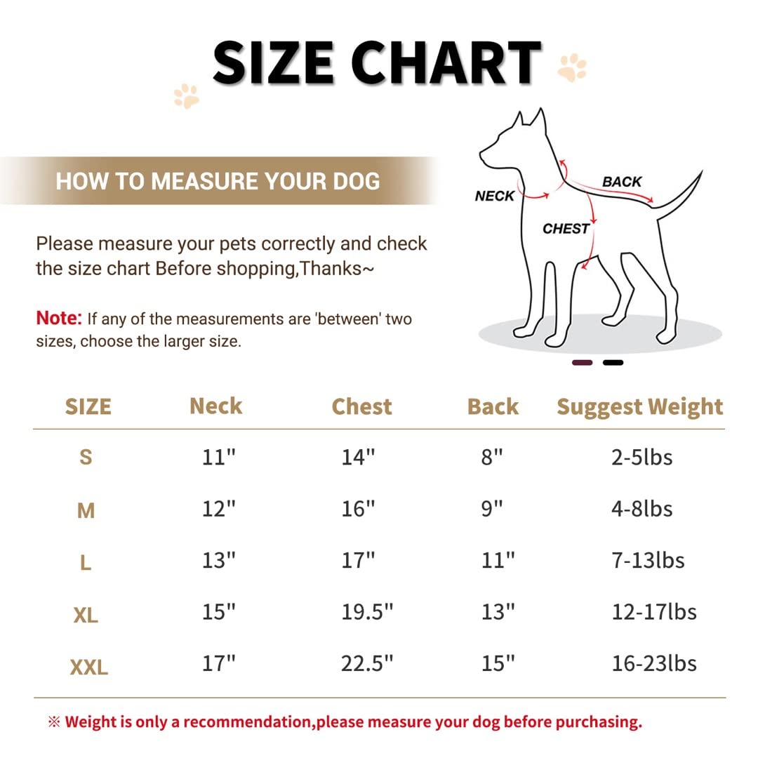 Lesypet Warm Dog Jacket Winter Dog Coats Windproof Waterproof Fleece Lined Dog Leather Jackets For Small Dogs Puppy, Red Medium