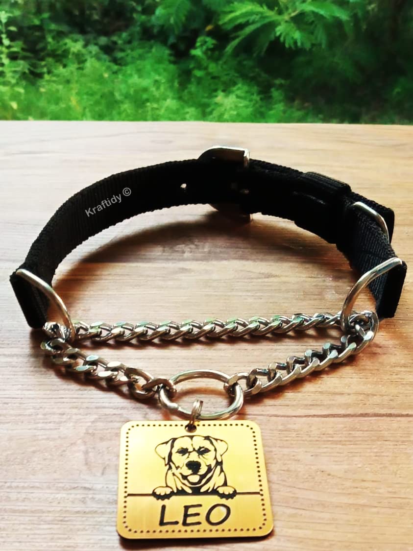 Kraftidy Dog Collar Chain Belt With Name Tag Id Customized For Large Medium Dogs And Small Puppies Neck Collar Chain With Person