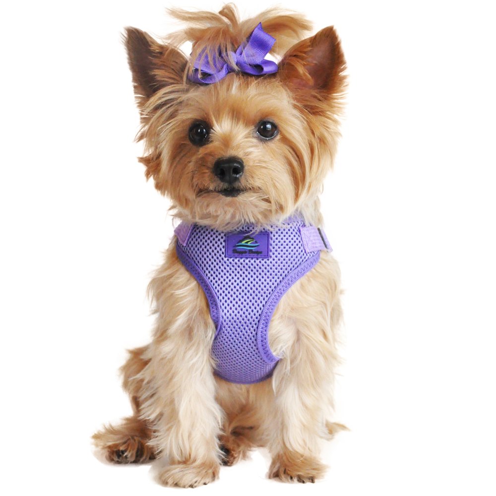 Doggie Design Dog Harness - No Choke Dog Harness, Dog Vest, Mesh Polyester, Pet Harness, Simple Step In And Go Design, Harness For Dog - Paisley Purple - L