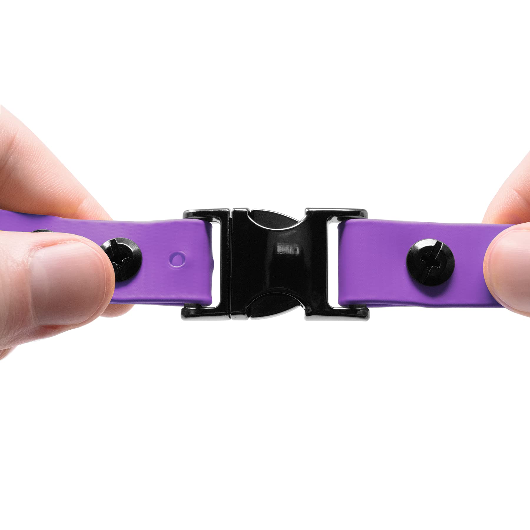 Educator Quick Snap Bungee Dog Collar, Biothane, Waterproof, Odorproof, Easy Connect And Disconnect Clasp And D Ring With Comfort Bungee Loop, Adjustable For Custom Fit, 3/4-Inch, Purple