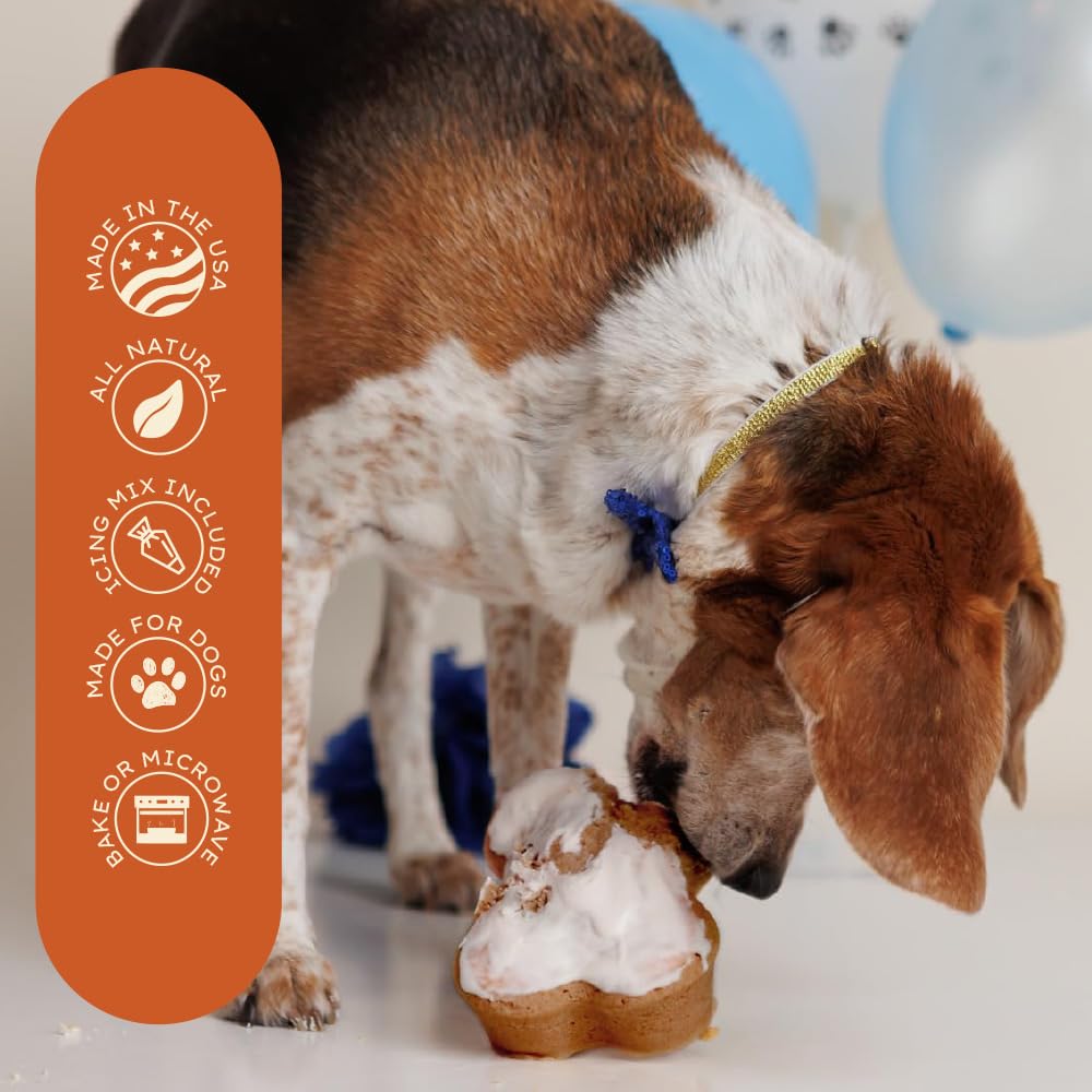 Puppy Cake Dog Birthday Cake Kit - Complete Cake Mix, Icing Mix, Candle, and Silicone Pan - Pumpkin Flavor - Bake or Microwave -