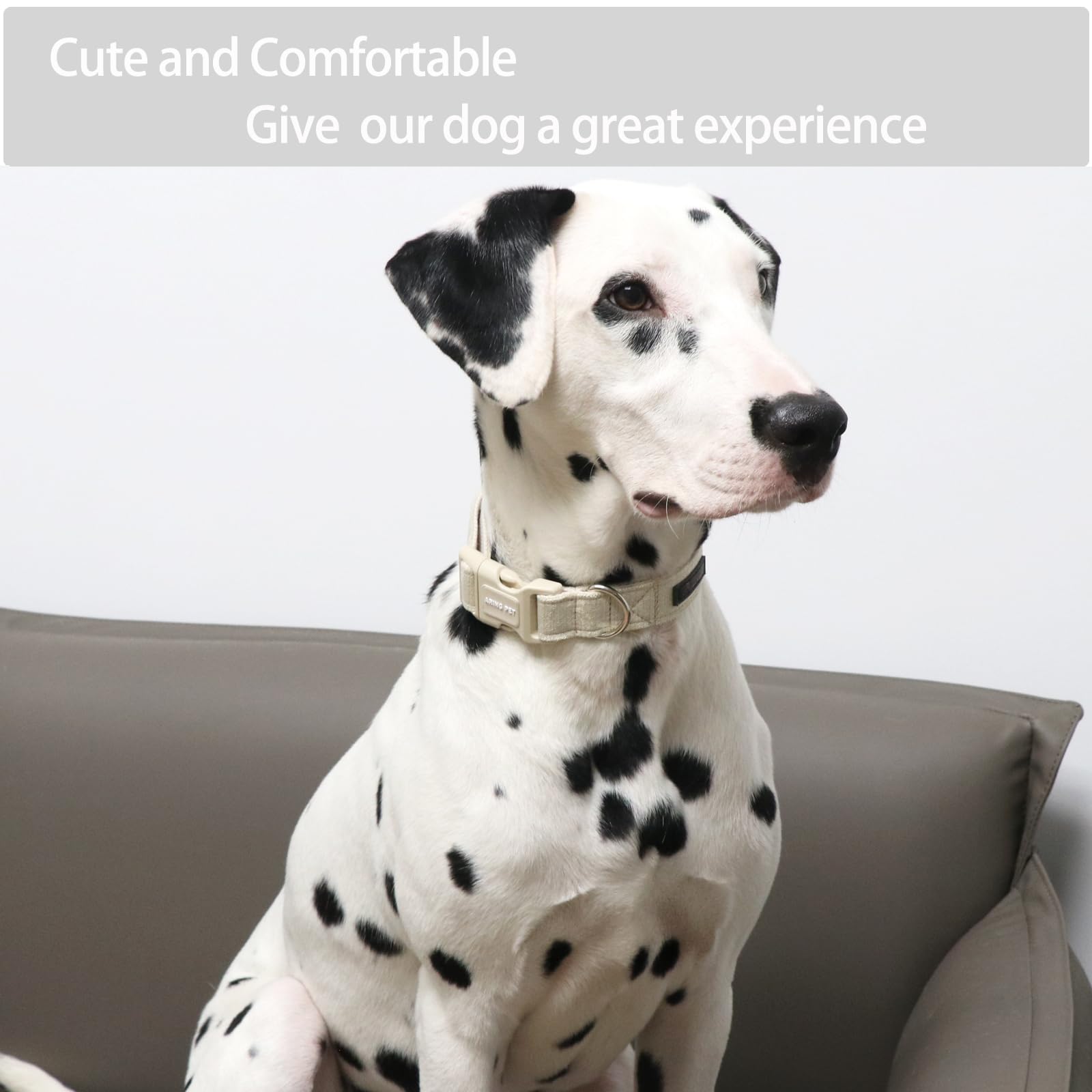 Aring Pet Cotton Dog Collar - Lightweight, Comfortable, Quick Release Buckle, X-Small, Khaki for Small to Medium Dogs