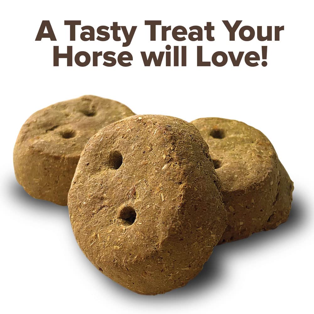 Kent Nutrition Group-Bsf 1537 Apple RounderS Horse Treat, 30 Oz