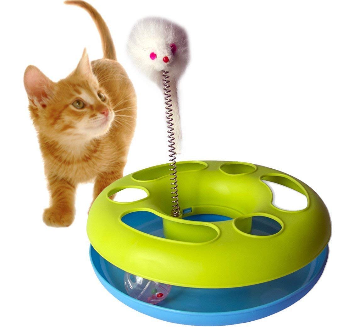 Psk Pet Mart Catch The Mouse Motion Cat Toy (9X9Inch)