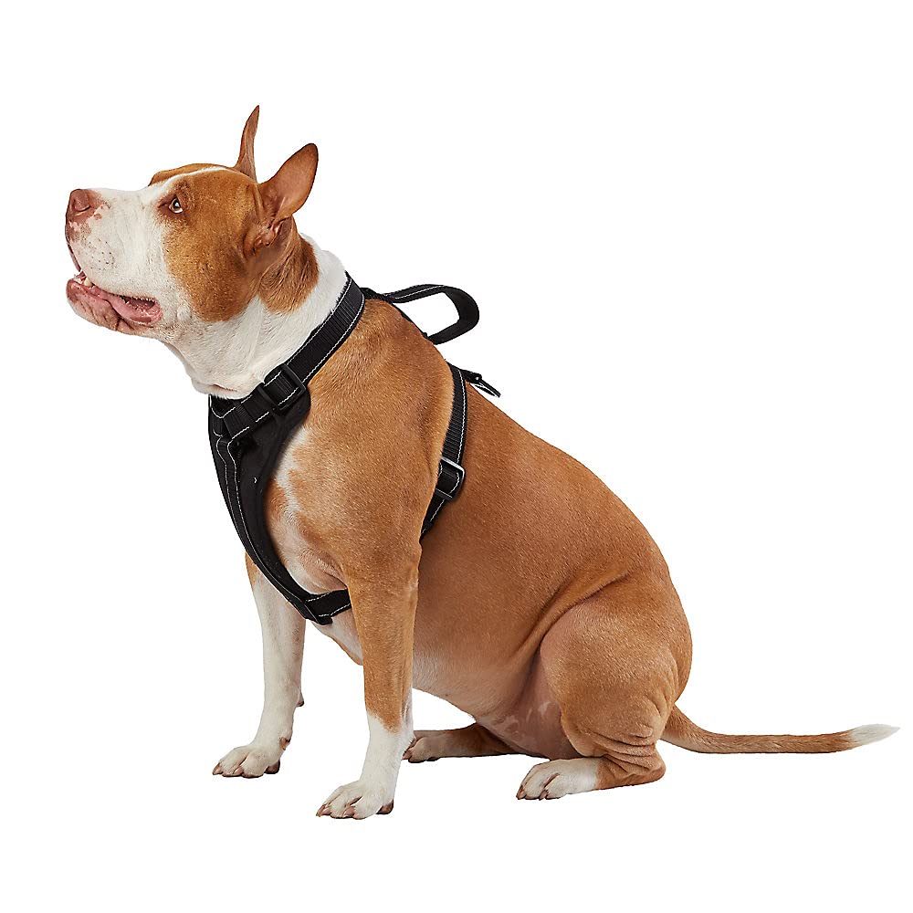 Kong Max Ultra Durable Neoprene Padded Chest Plate Dog Harness Offered By The Barker Company (Black, Medium)