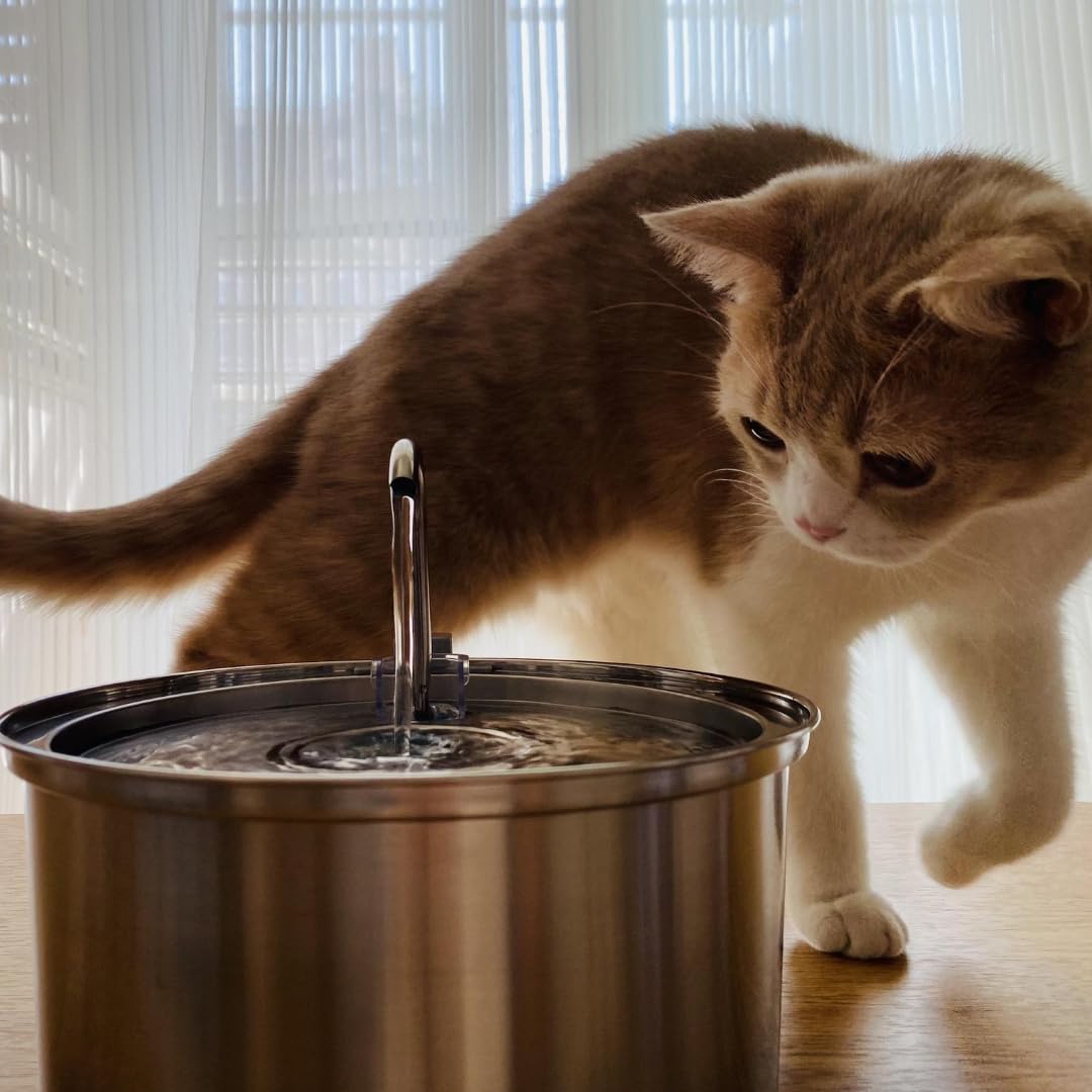 KittySpout Stainless Steel Cat Water Fountain Automatic Drinking Fountain, Quiet Circulating Water Bowl, Dishwasher Safe, Indoor