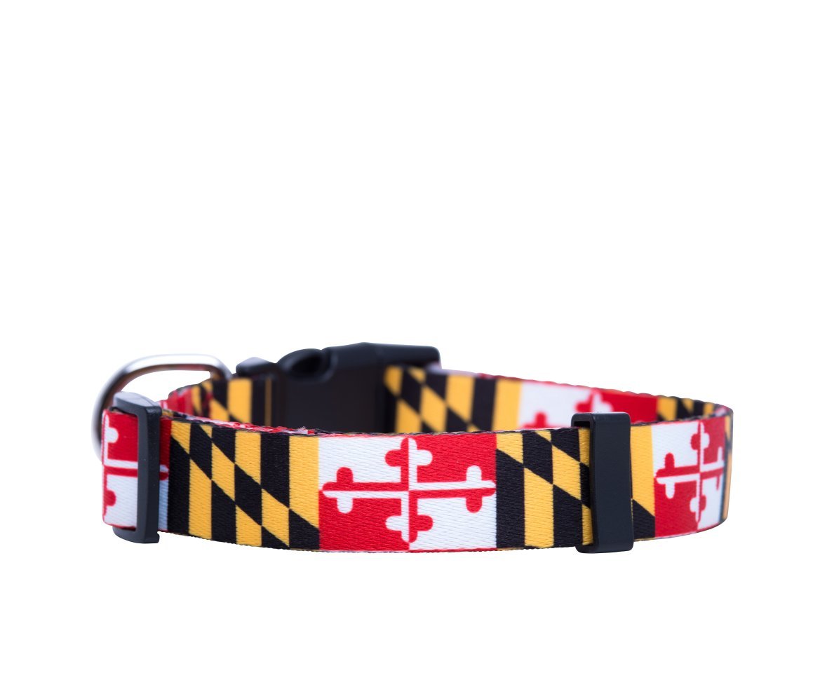 Native Pup Maryland Flag Dog Collar (Maryland, Large)