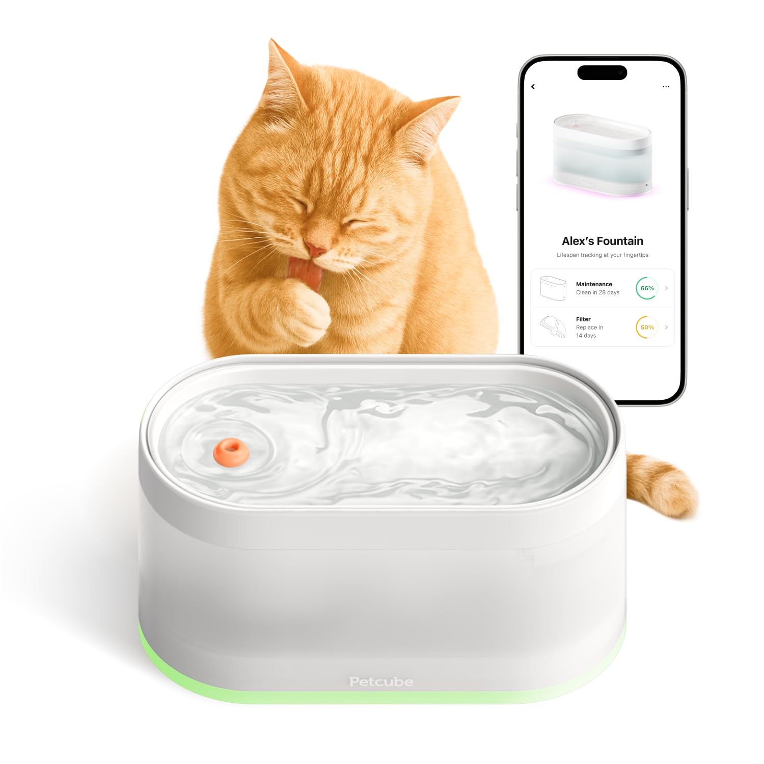Petcube Pet Water Fountain | Automatic Wireless Water Fountain for Cats and Dogs with Ceramic Bowl, Easy to Clean, 4-Layer Filtr