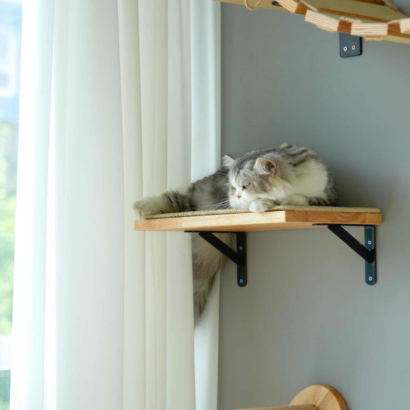 Fukumaru Cat Wall Shelves, 16 X 10 Inch Cat Wall Furniture With Sisal Mat, Solid Rubber Wood Floating Wall Shelf With Upgraded Installation, Cat Window Perch For Sleeping, Playing And Scratching