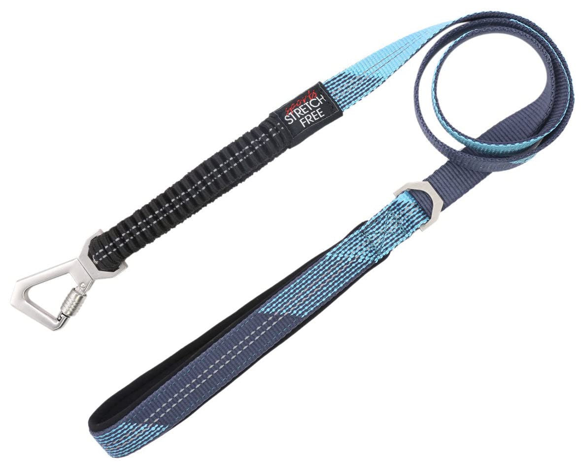 Pet Life Geo-Prene Shock Absorbing Neoprene Reflective Dog Leash And Collar, Sm, Blue