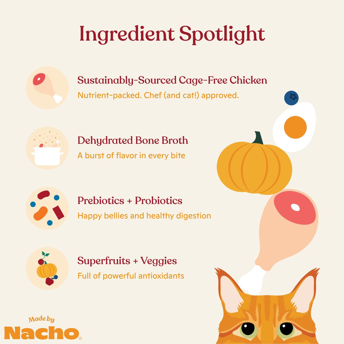 Made by Nacho Bone Broth Infused Dry Cat Kibble - Cage-Free Chicken & Pumpkin Recipe - Premium Grain-Friendly Cat Food 4lb Bag,