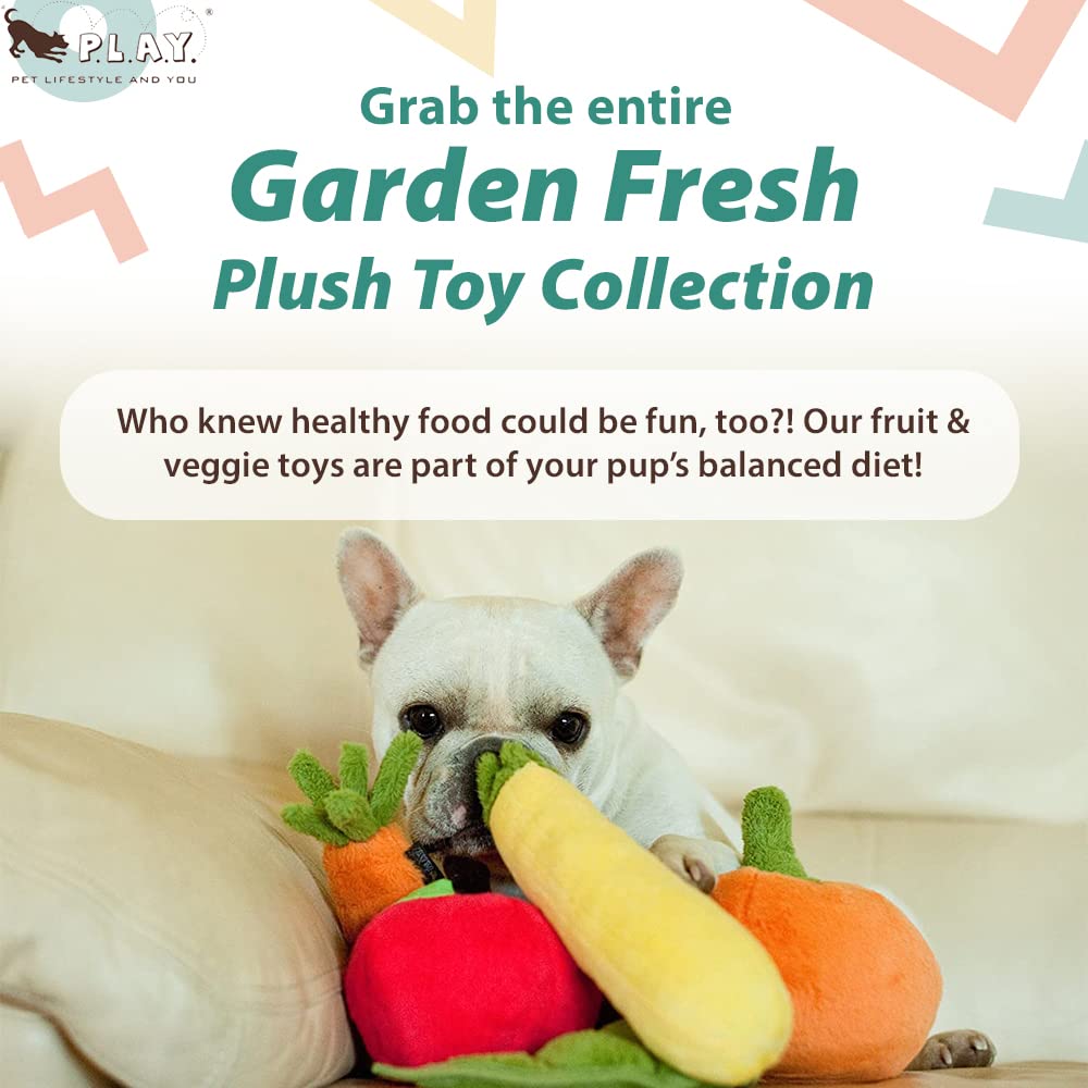 P.L.A.Y. Cute Plush Dog Toys - Fruit & Vegetable Themed Durable Squeaker Chew Toy, Great for Puppies & Small, Medium, Large Dogs