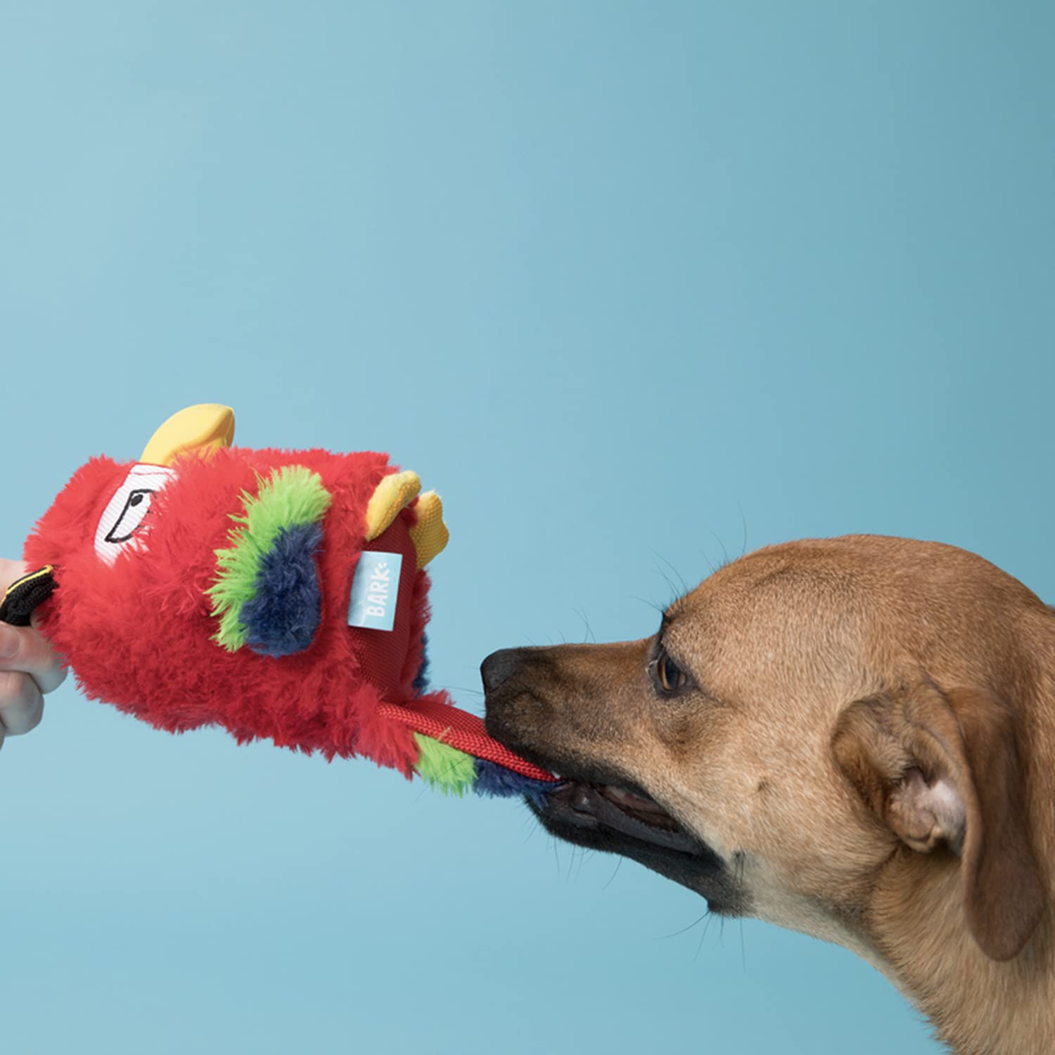 Barkbox Super Chewer Tough Dog Chew Toys For Aggressive Chewers, Plush 2 Toys In 1 (Parrot - Large)