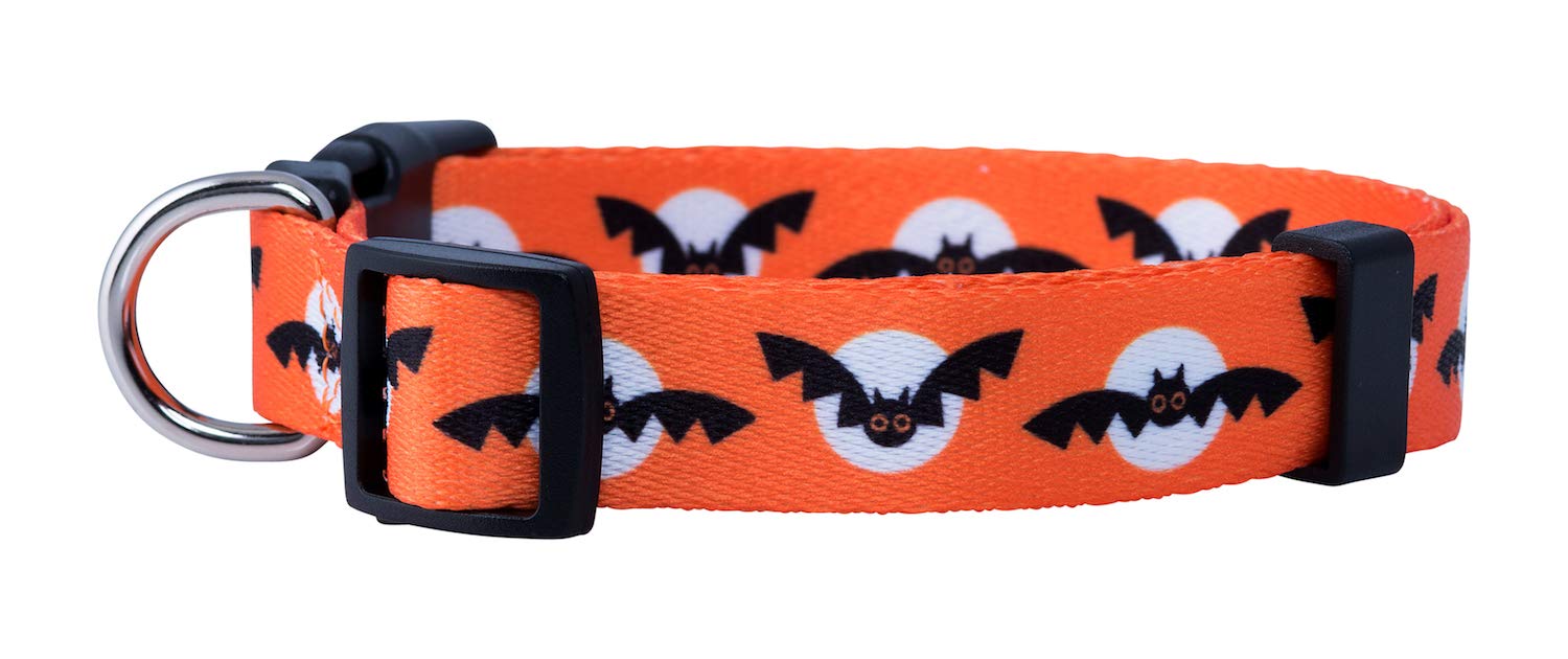 Native Pup Halloween Dog Collar (Small, Bats And Moon)