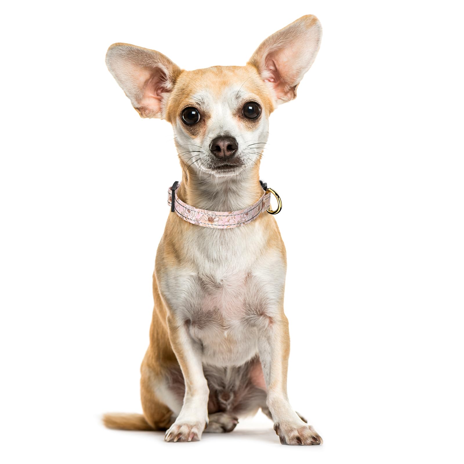 Tmoodel Reflective Dog Collar For Extra Small Dogs, Cute Flower Theme Adjustable Heavy-Duty Nylon Puppy Collar For Boy And Girl