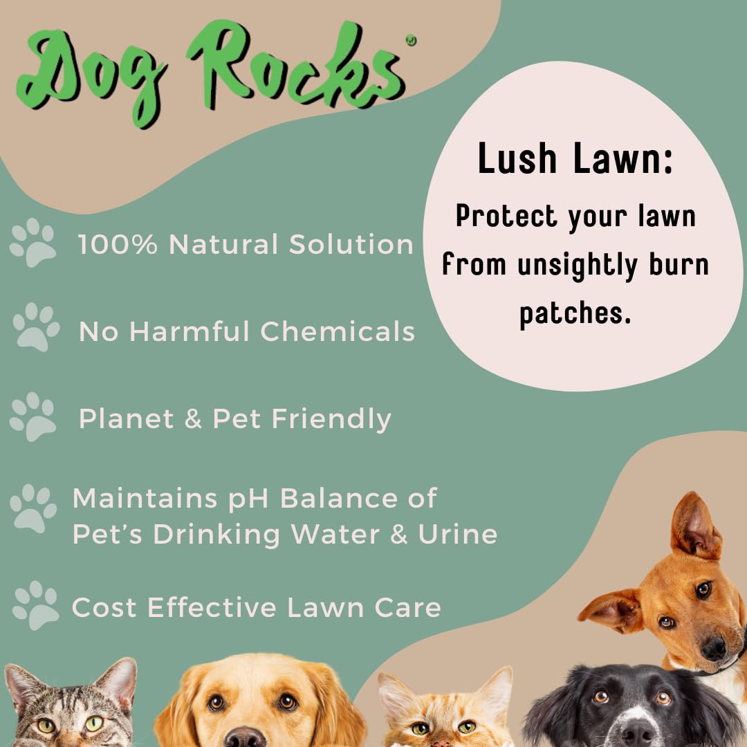 Dog Rocks for Urine Burning Grass - 200g Natural Pet Rock to Help Maintain Green Lawn - Grass Savers for Dog Urine - 2 Month Sup