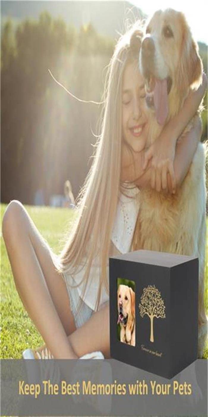 Newdream: Medium Black Dog Urn For Ashes With Forever In Our Hearts,With Photos Suitable For Dogs Under 100 Lbs.
