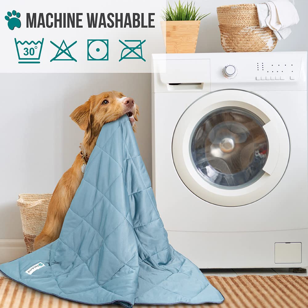 Petami Premium Cooling Dog Blanket | Lightweight Fluffy Pet Throw Blanket Bed Cover For Dogs, Cat, Puppies | Pet Blanket Furniture Protector Couch Sofa | Reversible Fuzzy Cozy | 90X90, Dusty Blue