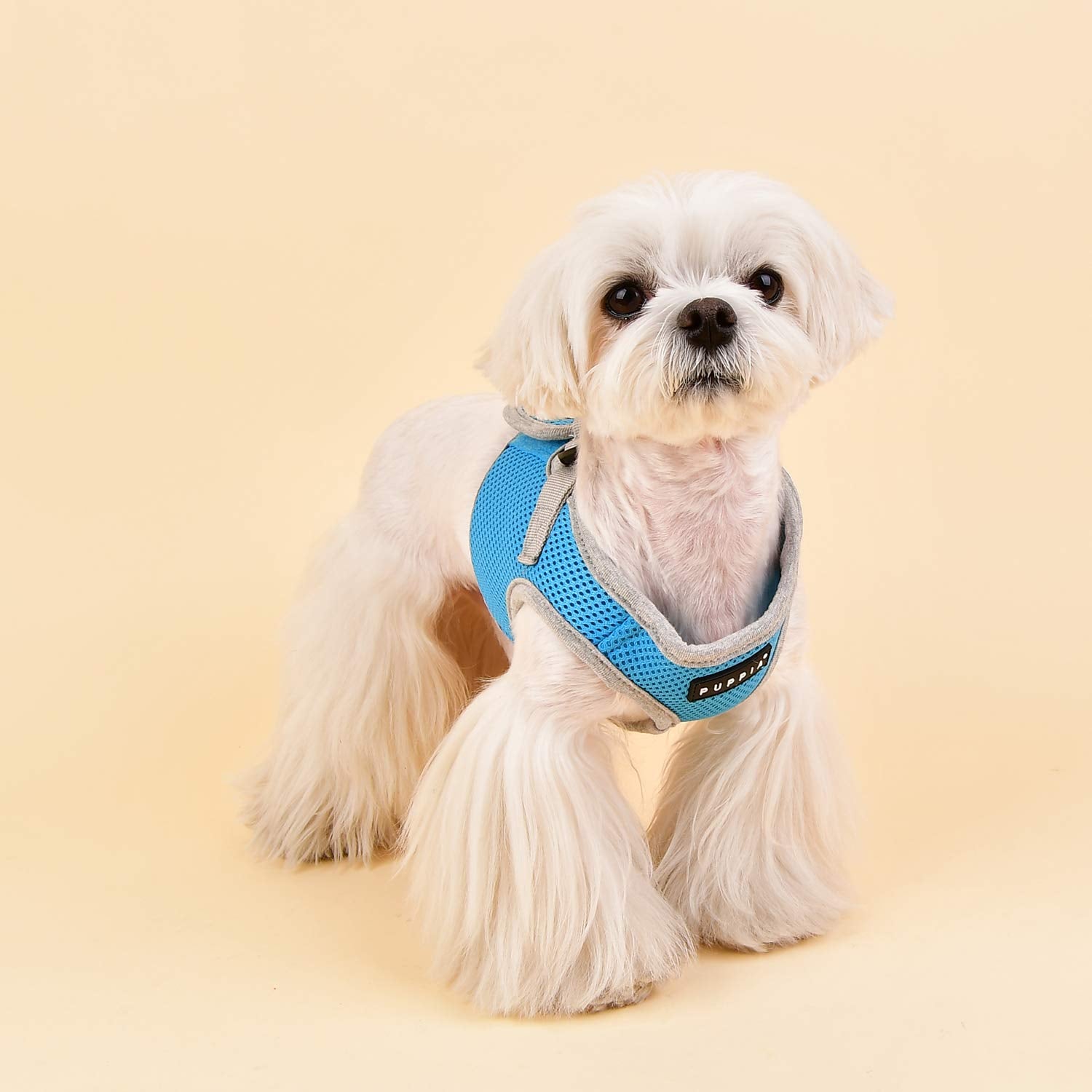 Puppia Soft Vest Harness B Ii - Sky Blue - Xxl