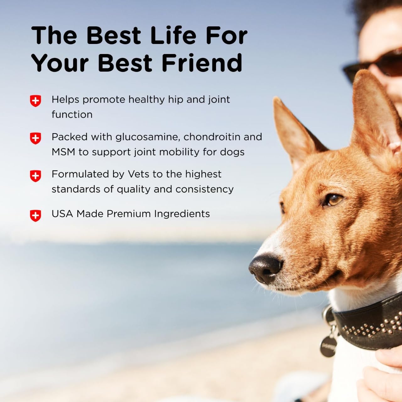 Nutri-Vet Advanced Strength Hip & Joint Chewable Dog Supplements - Formulated with Glucosamine & Chondroitin to Support Dog Cart