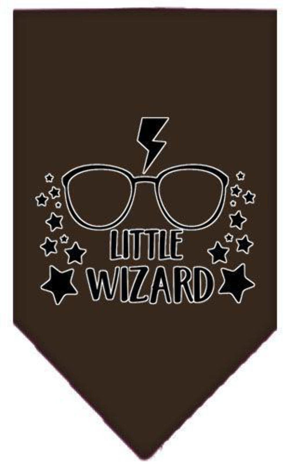 Mirage Pet Product Little Wizard Screen Print Bandana Turquoise Large