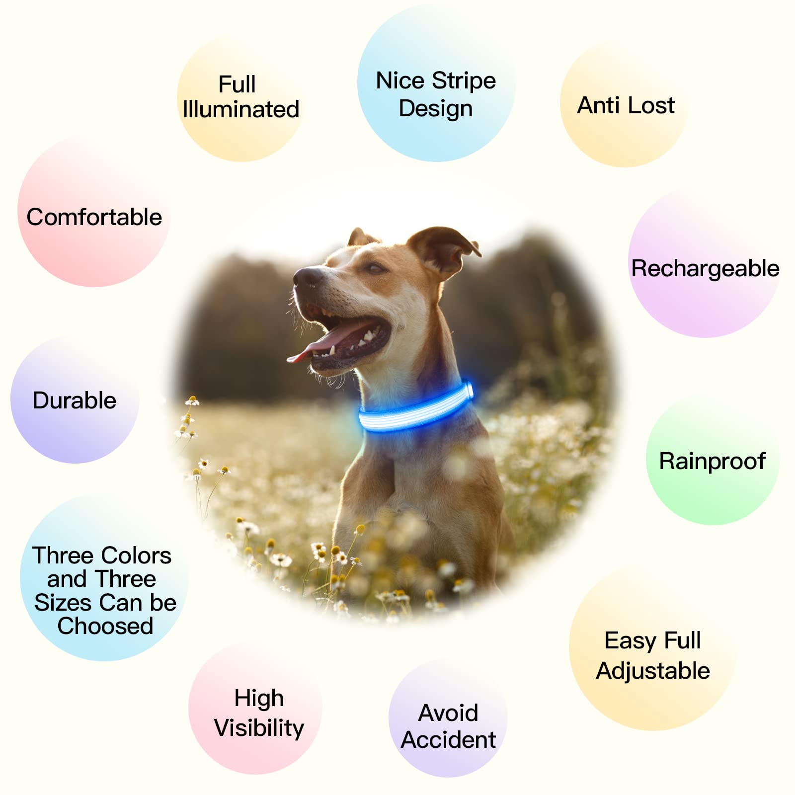 YFbrite Light up Dog Collar, USB Rechargeable LED Puppy Collar Super Bright Adjustable Glowing Dog Lights for Night Walking (Des
