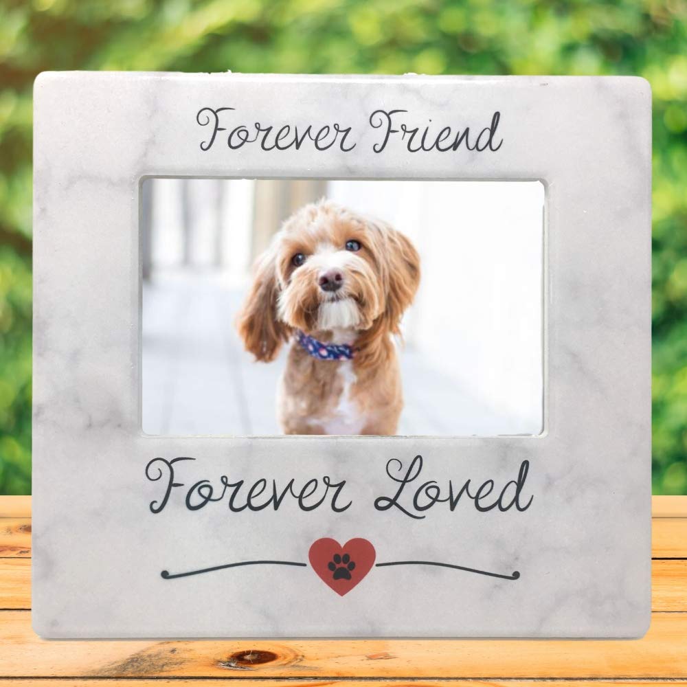 Banberry Designs Pet Memorial Frames - Set Of 2 - Forever Friend Forever Loved - Paw Print And Heart Design Picture Frame - Loss