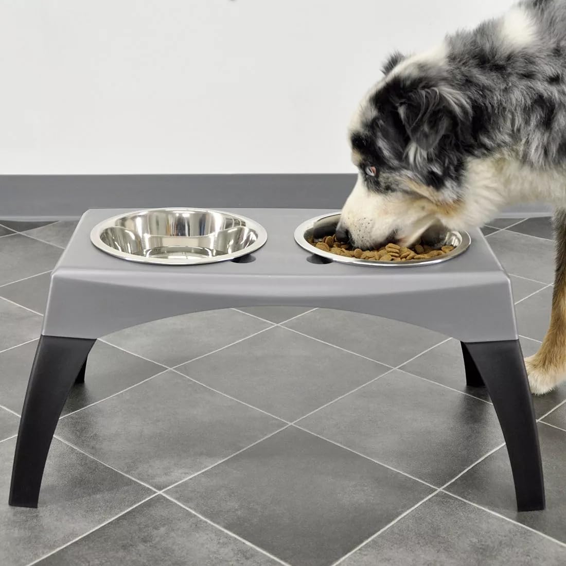 Coastal - Maslow - Elevated Feeder - Single Pack, Grey and Black, Medium