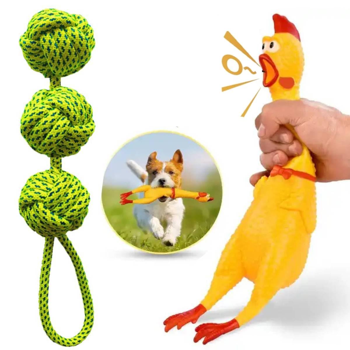 PETZLUV Dog Toys Combo Pack  Squeaky Latex Chicken Toy & Braided Cotton Rope Ball Toys for Puppies and Dogs, Chew, Play & Train