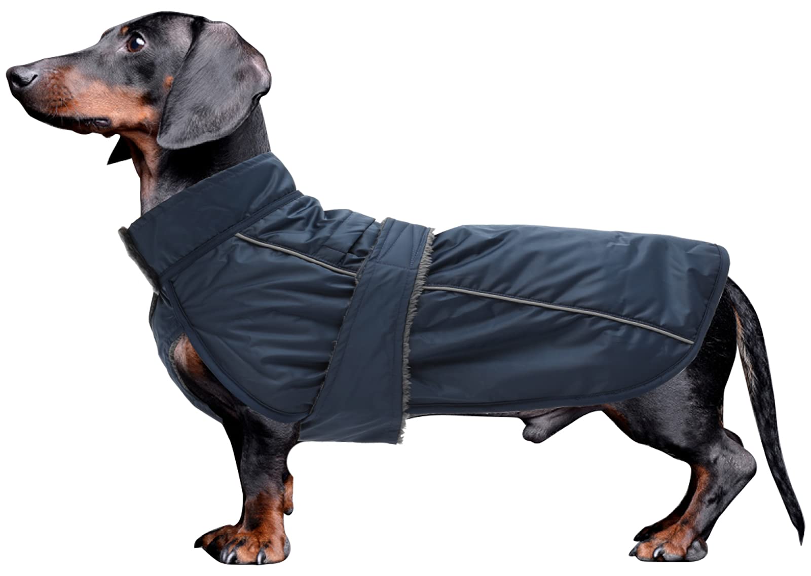 Dachshund Coat Waterproof, Perfect For Dachshund Sausage, Puppy Winter Jacket With Padded Fleece Lining, Dog Clothing With Bands