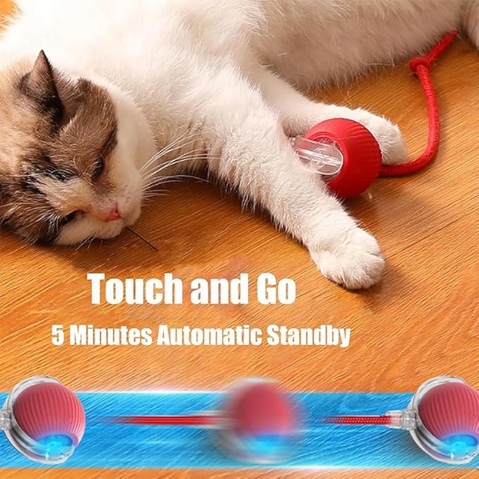 AUTRETY Interactive Rolling Dog Ball Toy, 360° Smart Electric Toy for Dogs & Cats, Red