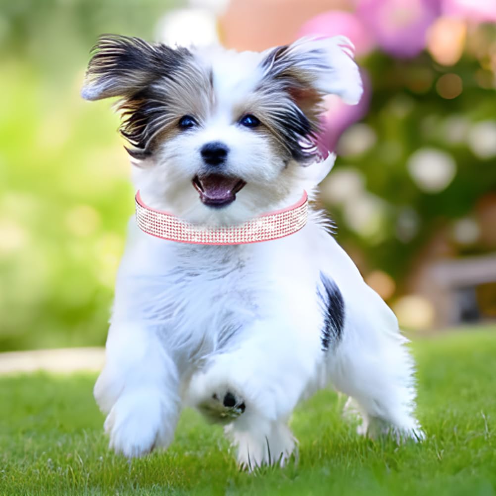 Cute Dog Collar With Bling Rhinestone, Fancy Crystal Diamond Glitter Pretty Jewel Soft Cat Collars For Small Medium Large Breed Dogs Girl Female Pet Puppy Kitten Terrier, Red Xxs